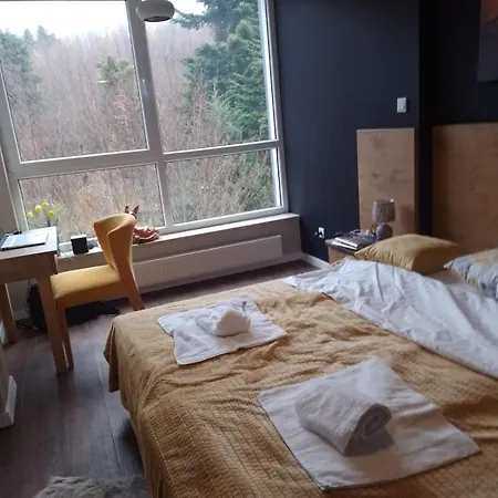 W Kozubniku Apartment *